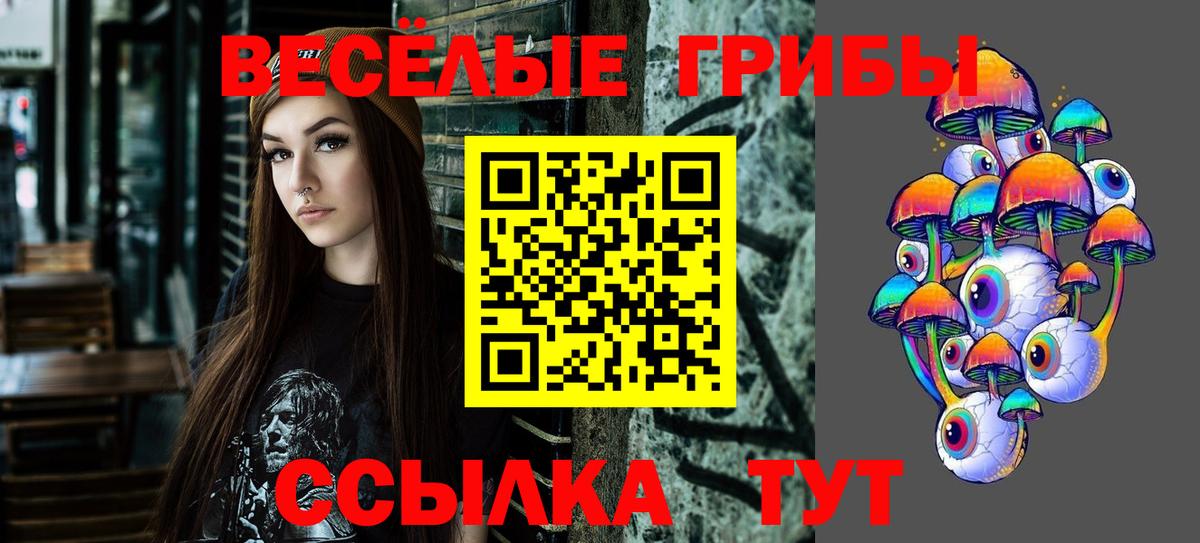 Галлюциногенные грибы ЛСД  Вход с VPN  Гусиноозёрск  Галлюциногенные грибы прущие грибы 